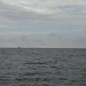 Meet your Posher, Dawnn